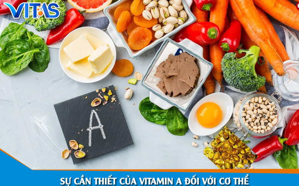 Sự cần thiết của Vitamin A đối với sức khỏe